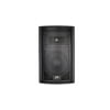 Two-Way Professional High Power Speaker System w/15-in Woofer & constant directivity horn