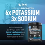 Zealot Electrolyte Powder - 90 Servings | Keto Electrolytes | Zero Sugar | Blue Raspberry