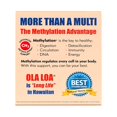 Ola Loa Energy Orange Multi Vitamin Drink Mix Amino Energy Powder