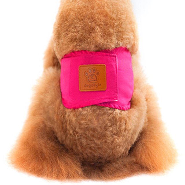 CAROOTU Couches Réutilisables Lavables pour Chiens Coton Respirant Chiot Bandes de Ventre Crochet & Boucle Sanitaire Réglable Pantalon pour Animal de Compagnie
