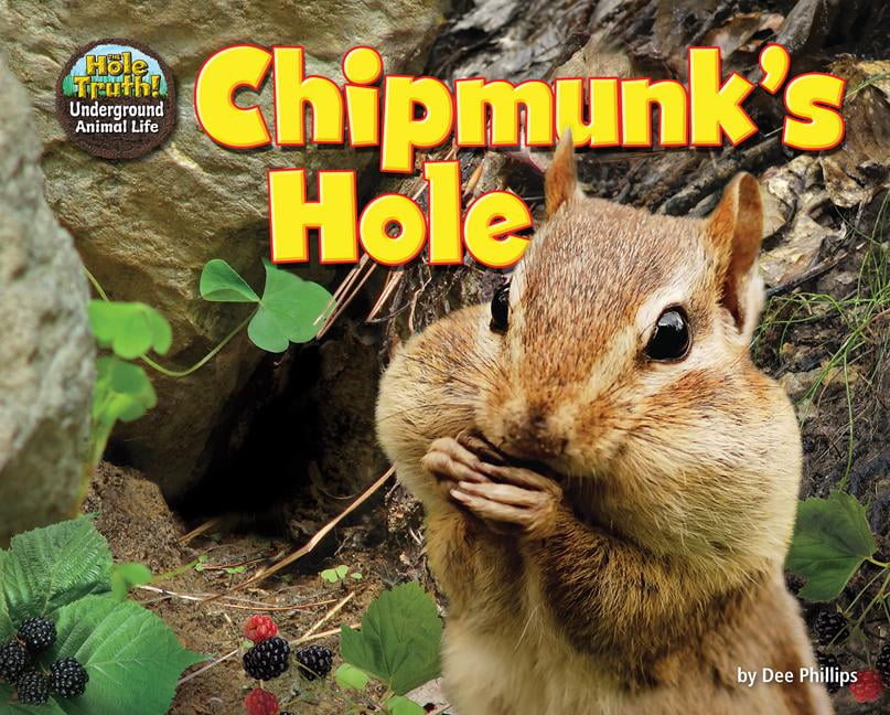 chipmunk holes chipmunk holes