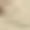 Beige, variant on Womens 2 Piece Outfit Short Sleeve Crewneck T Shirts and Shorts Summer Loose Comfort Lounge Matching Sets S-2XL