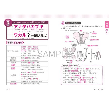 中学受験ゴロ合わせで覚える理科100 ここで差がつく!/宮本毅