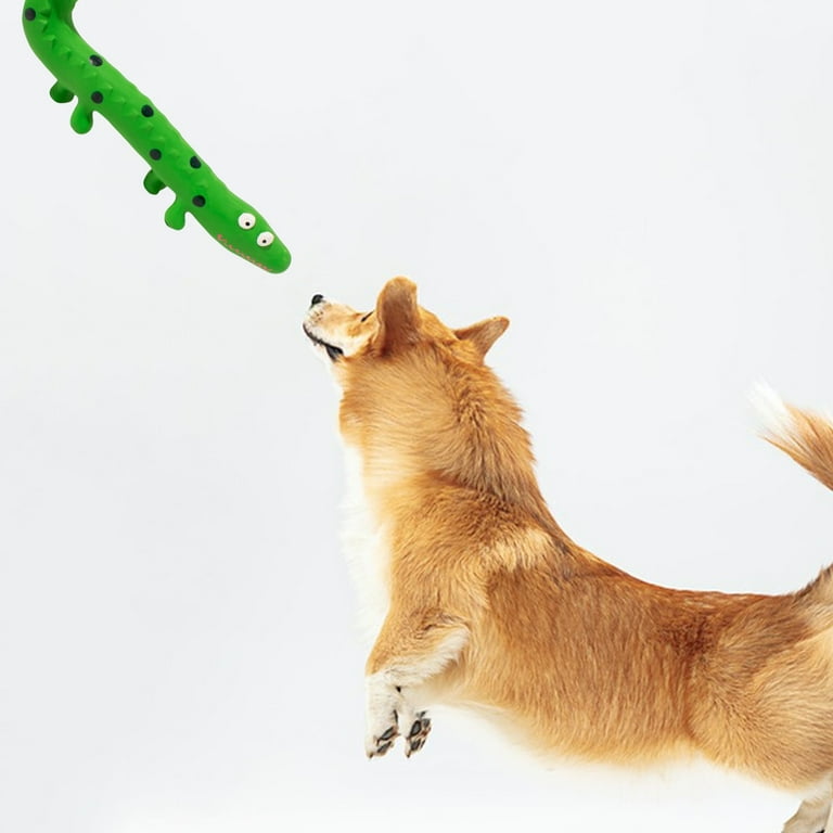 Zksm Dog Toy Squeaky Toy with Sound Effect Bite Resistant