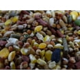 thumbnail image 2 of Purina Casta Brava 20kg Alimento Para Gallos De Competencia Purina Casta Brava, 2 of 2
