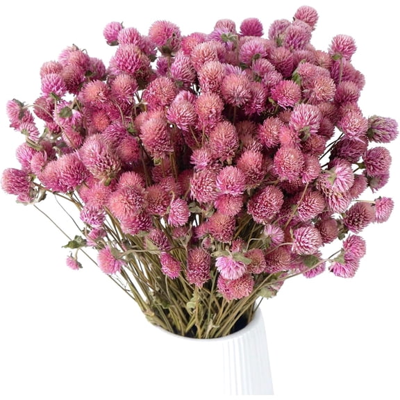 100Pcs+ Pink Dried Globe Amaranth Flowers, 100% Natural Dry Gomphrena Flower Bundles for Vase Decor Wedding Centerpieces Christmas Halloween Home Accents