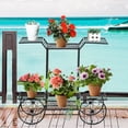 thumbnail image 2 of Giantex Estante de Metal Forma de Carrito para Plantas y Flores 6 Niveles para Casa Jardín Patio Interior y Exterior Negro 80,5 x 25 x 75 cm, 2 of 8