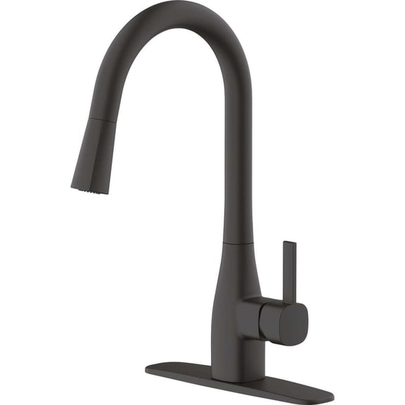 Home Impressions 1-Handle Pull-Down Kitchen Faucet, Matte Black FP4AF316BL-JPA9