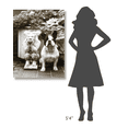 thumbnail image 4 of Global Gallery's 'Friends' By Jim Dratfield Stretched Canvas Wall Art, 4 of 4