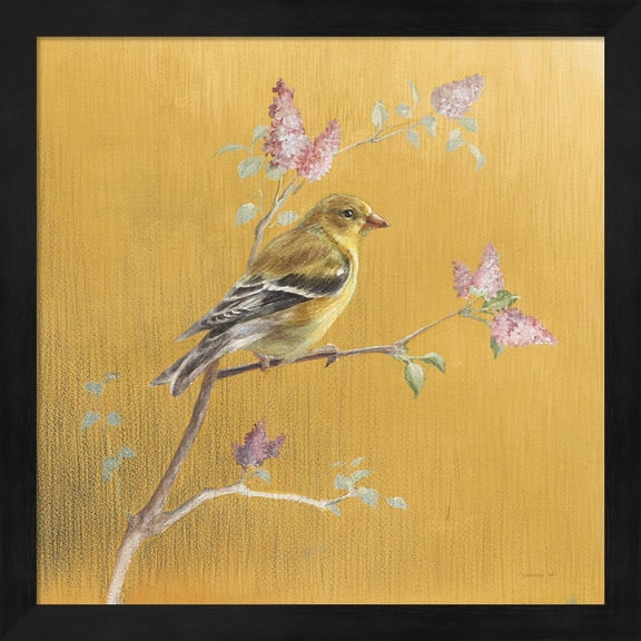 Female Goldfinch on Gold by Danhui Nai, Framed Wall Art, 13.25W x 13.25H