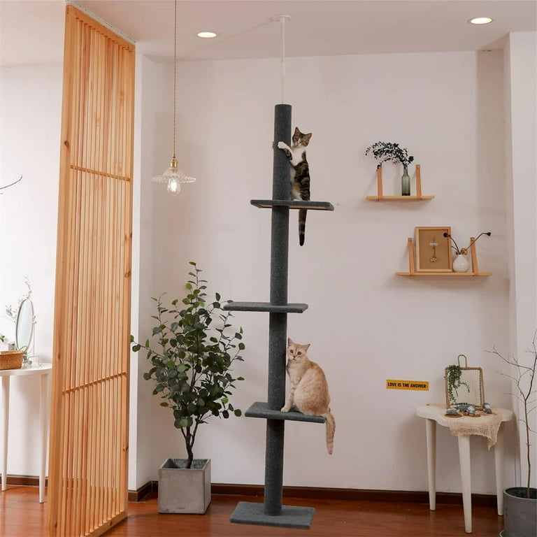 Floor to ceiling deals cat tree modern