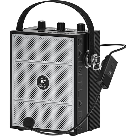 HW HAOWORKS 40W Portable Mixing Speaker with Bluetooth 5.3, USB/TF/AUX Playback, Dual Mic Inputs (1/4" & 3.5mm) for Karaoke, PA, Live Stream-S98