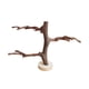 thumbnail image 5 of Soporte para loros Sunnimix Puesto de loros, 5 of 8