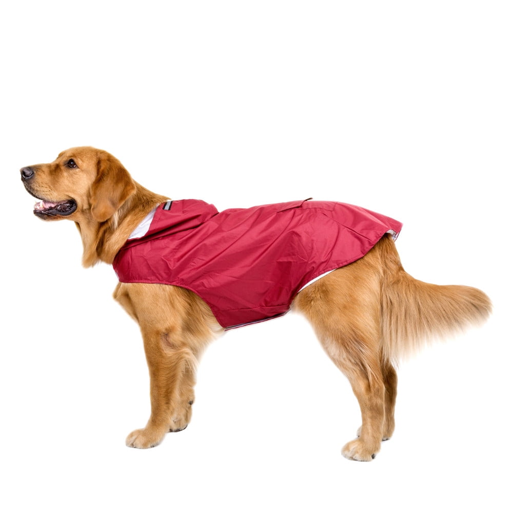 bwiv dog coat