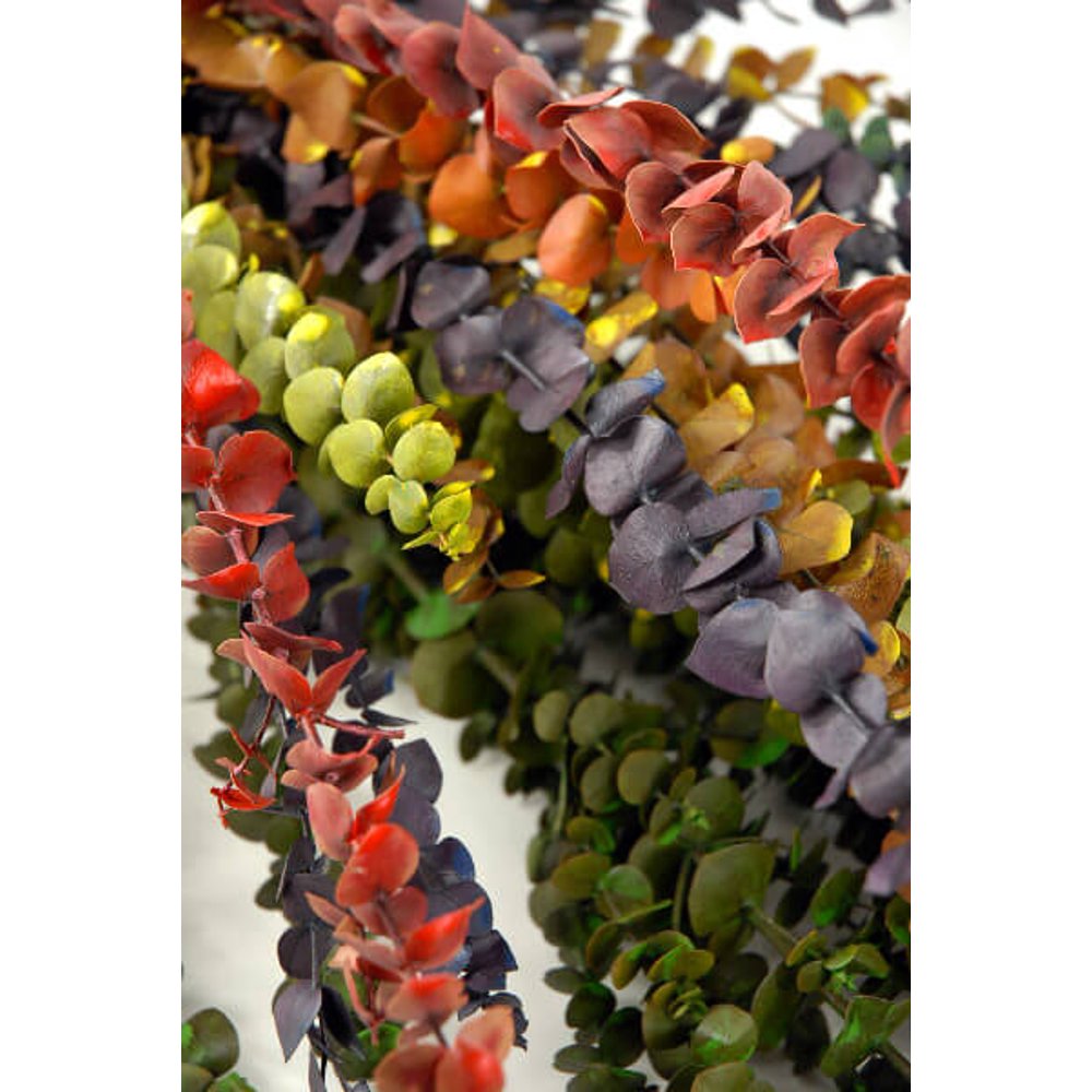 Eucalyptus Branches Multicolor 1012 Branches 26in. 28in. Tall & 10in
