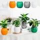 thumbnail image 1 of Macetas hidropónicas transparentes - macetas de plástico autoraguantes para plantas de interior, 5,1x4,2 pulgadas, transparente/blanca/verde/gris/naranja, 1 of 6