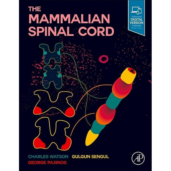 The Mammalian Spinal Cord, (Hardcover)
