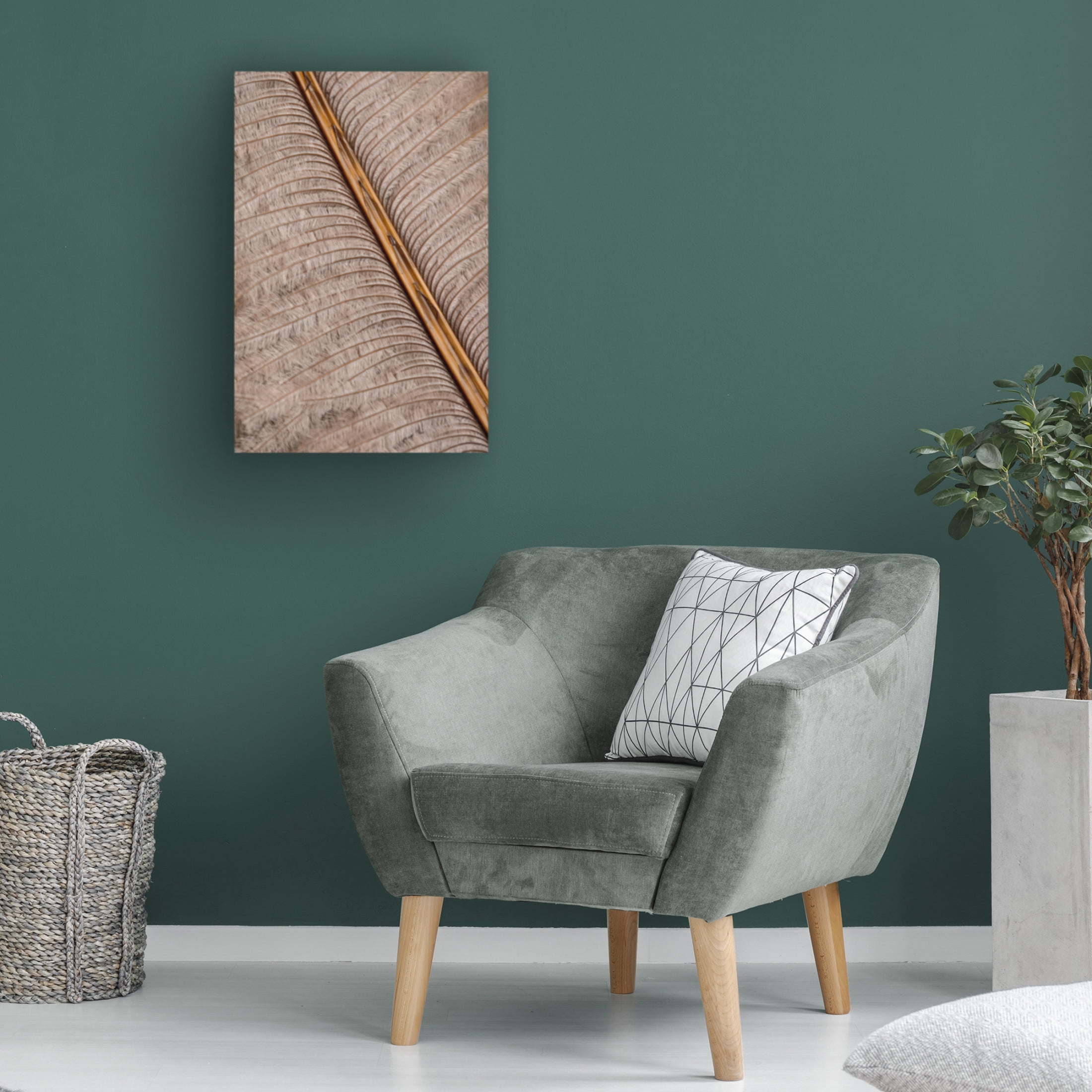 Trademark Fine Art Pictufy Studio Feather Canvas Wall Art
