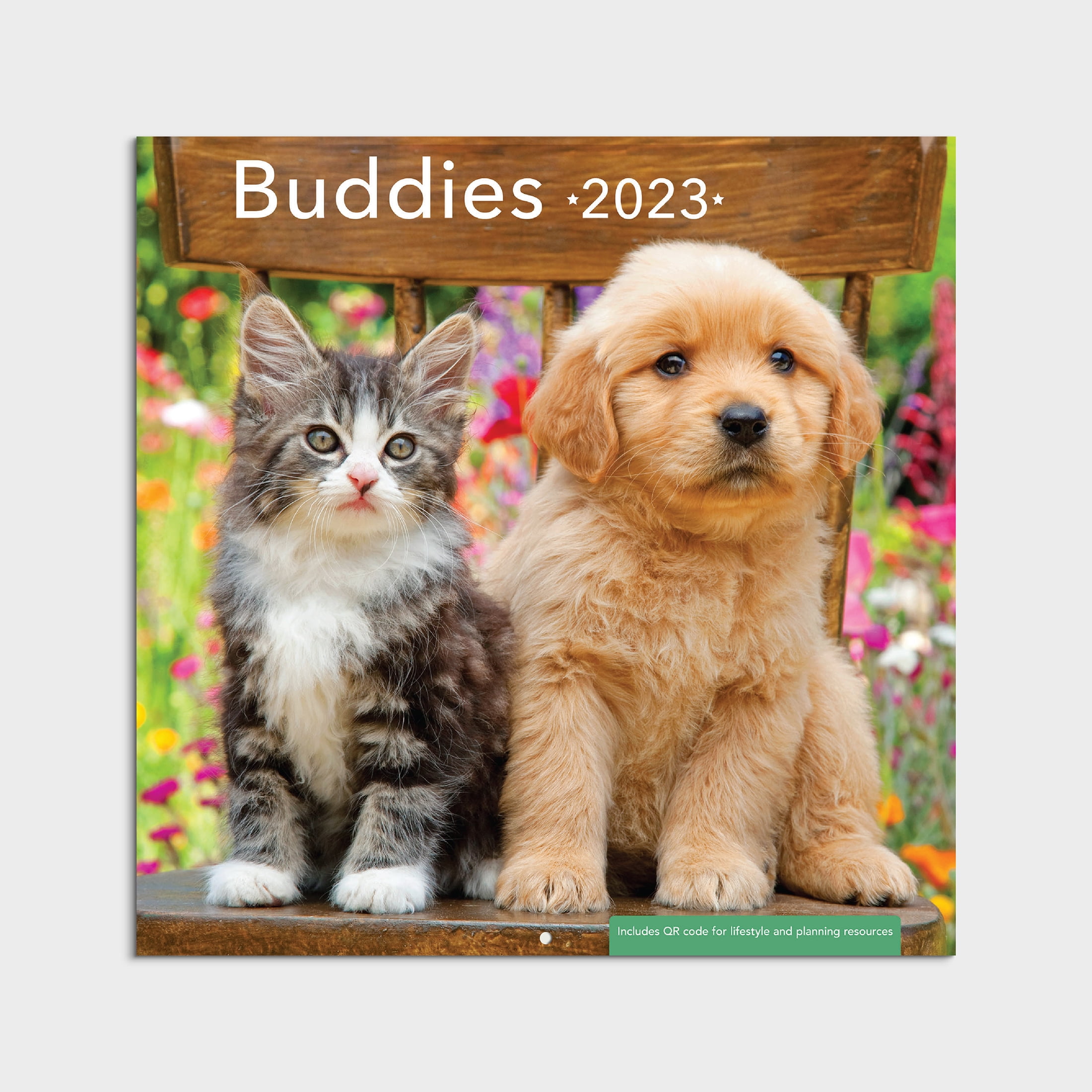 2023-12 Month Calendar-Buddies (puppies and kittens) 12x12 Hanging Wall Calendar by DaySpring