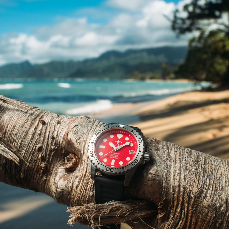 Hawaiian Lifeguard Association Dive Watch Quartz HLA 5417