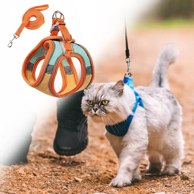 Juego de arnés y correa para gatos, arneses ajustables a prueba de escape para gatitos para caminar, chaqueta de malla suave y transpirable con tiras , , s Salvador Arnés para gatos