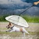 thumbnail image 5 of Pet dog con Correa Perro Puppy Walking Mantiene Los Impermeables Secos para Mascotas, 5 of 9