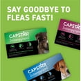 CAPSTAR (Nitenpyram) FastActing Oral Flea Treatment for Large Dogs