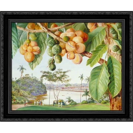 View from the Istana, Sarawak, Borneo 24x20 Black Ornate Wood Framed Canvas Art by North, Marianne
