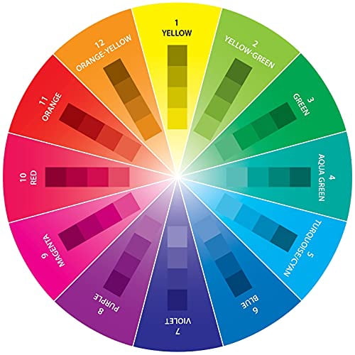 Basic Color Wheel 12 Colors