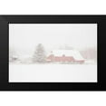thumbnail image 2 of Aledanda 14x11 Black Modern Framed Museum Art Print Titled - Big Red, 2 of 5