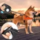 thumbnail image 2 of Correa Retráctil Para Perro Con Luz Led Y Portabolsas 6mts., 2 of 2