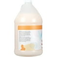 thumbnail image 4 of Ginger Lily Farms Botanicals All-Purpose Liquid Hand Soap Refill, Coco Mango, 100% Vegan & Cruelty-Free, Coconut Mango Scent, 1 Gallon (128 fl oz), 4 of 6