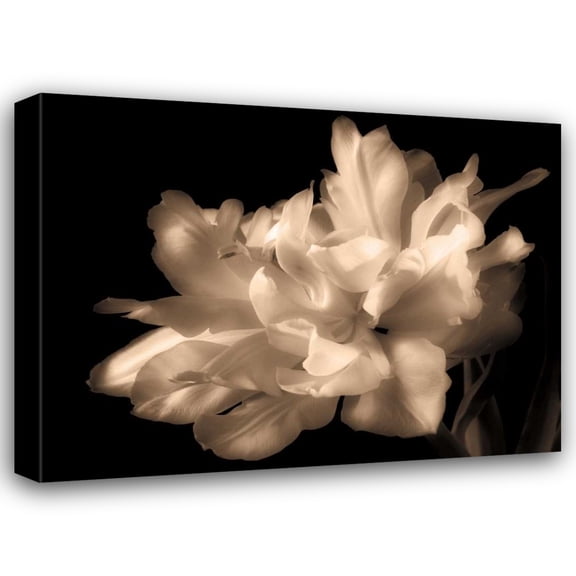 Charles Britt 24x19 Gallery Wrapped Canvas Wall Art Titled - Double Dappled I