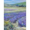 thumbnail image 2 of Art.com LAVENDAR Stretched Canvas Print Wall Art by ALLAYN STEVENS, 24" x 32", 2 of 4