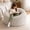 Gray-3FT, variant on Telyra 3FT Memory Foam Bean Bag Sofa Chair Removable Washable Matte Velvet Cover with Carry Straps and Storage Pockets, Gray