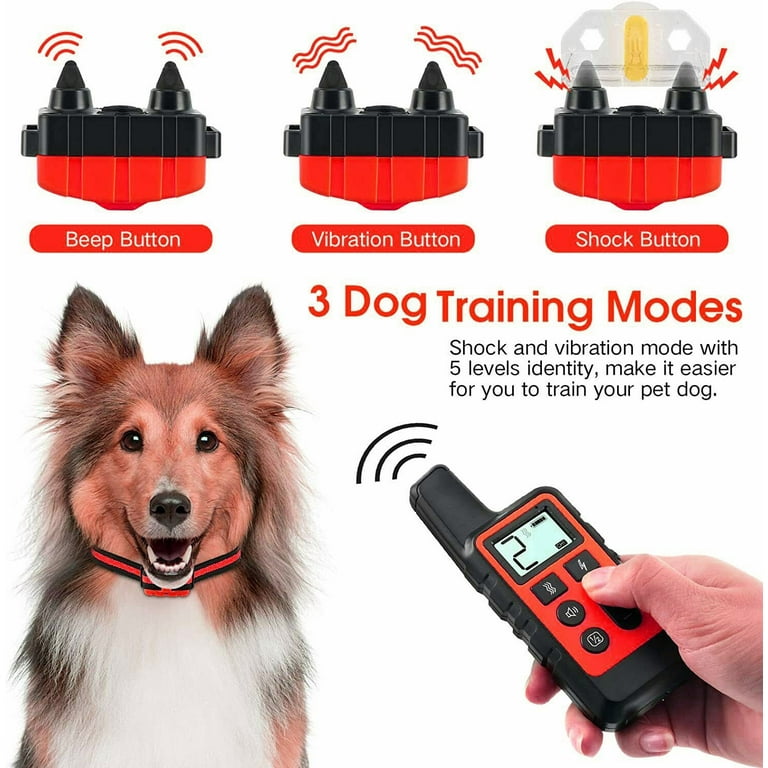 How to Use a Shock Collar to Train Your Dog: Effective Tips