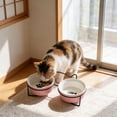 thumbnail image 5 of Ceramic Pet Bowls Cats Dog Non Tipping Food and Water Dishes Double Bowl Set for Feeding and Drinking Suitable for Small To Medium Sized Dogs and Cats, 5 of 6