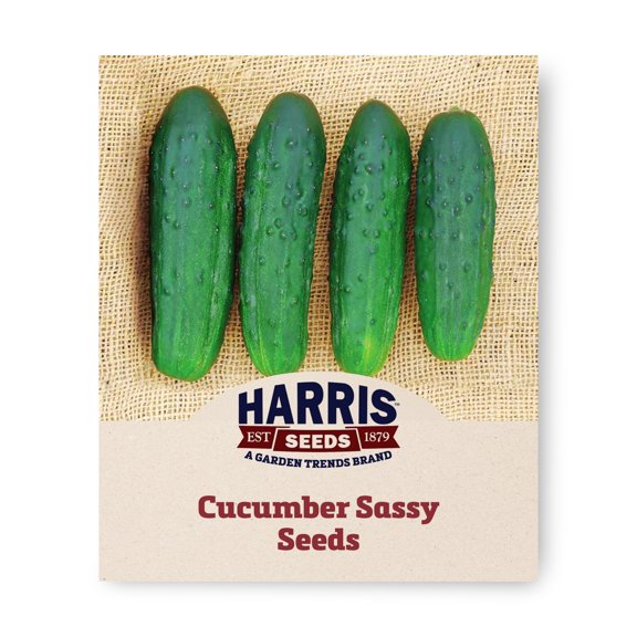 Harris Seeds Cucumber Sassy F1, Pickling Cucumber Hybrid for Garden and Field, 50 Count