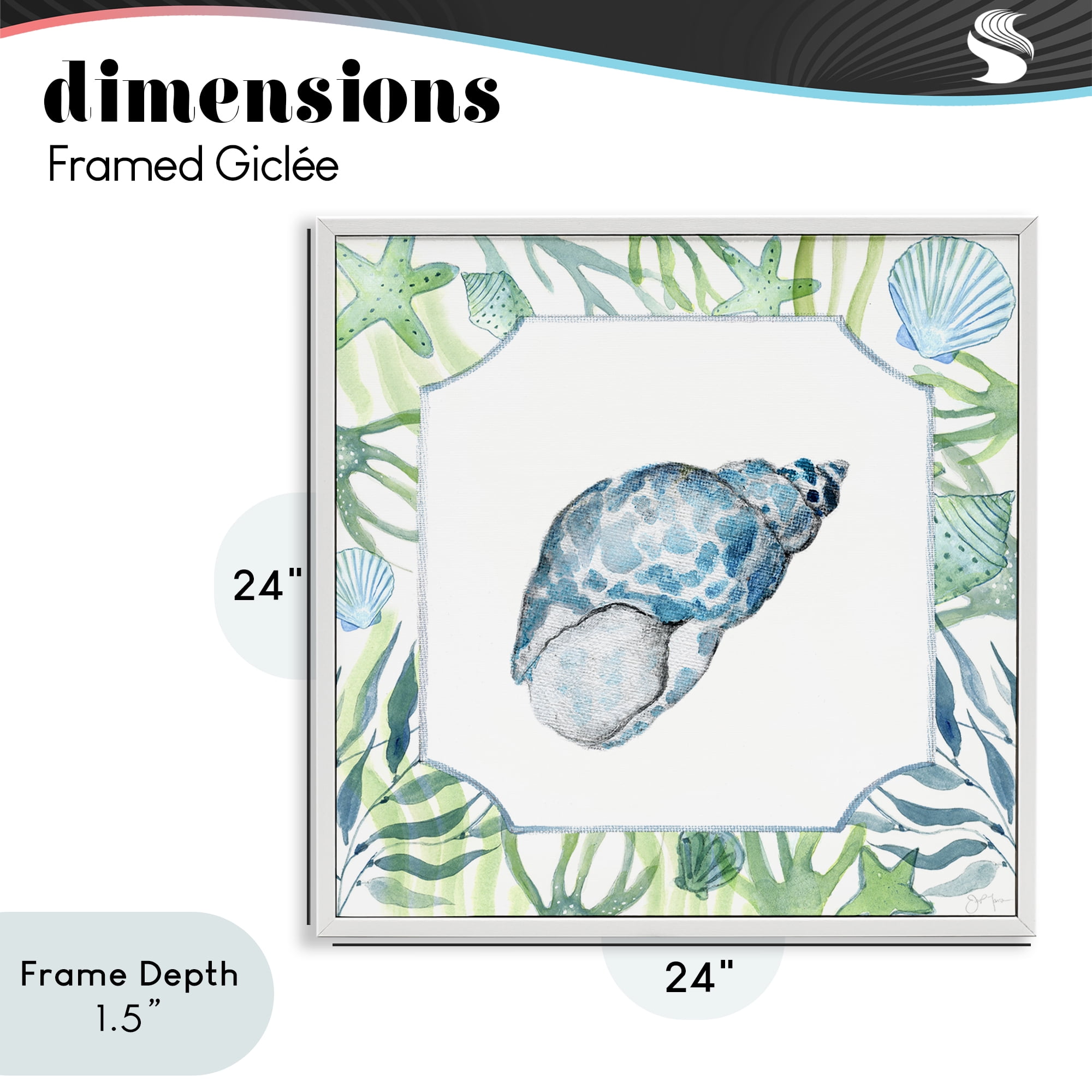 Stupell Industries Spotted Cowrie with Seaweed White Framed Giclee Art, design by Janet Tava