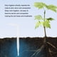 thumbnail image 5 of Yuarrent Controlador de riego inteligente para plantación de laboratorio con conectividad Wifi aplicable a escenas interiores Jardín y Patio, 5 of 6