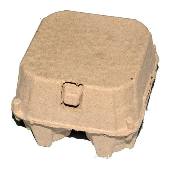 Reusable Paper Egg Cartons, Natural Pulp, Sturdy Buckle, 4 Compartments, for Chicken Eggs Storage