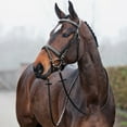 thumbnail image 2 of HORZE Venice Snaffle Bridle, Color: Black, Size: Pony (10045-BL-PONY), 2 of 3