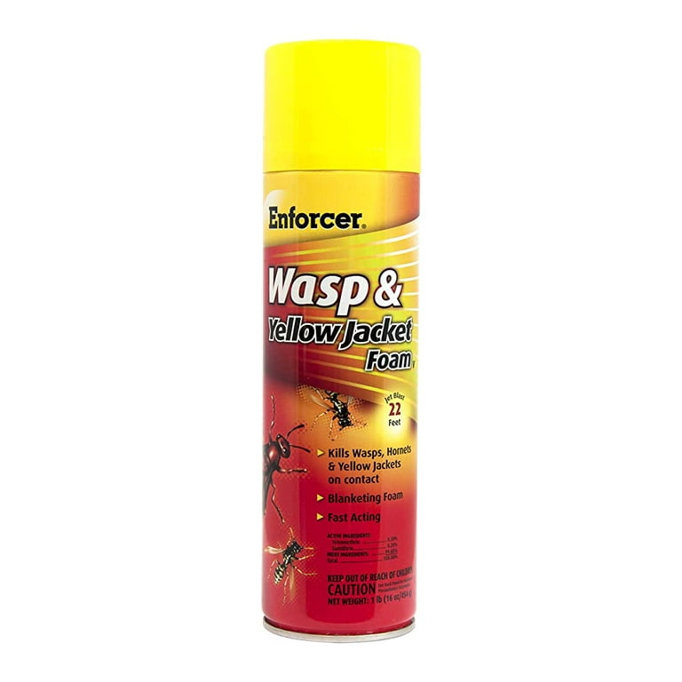 Enforcer Foam Insect Killer 16 oz