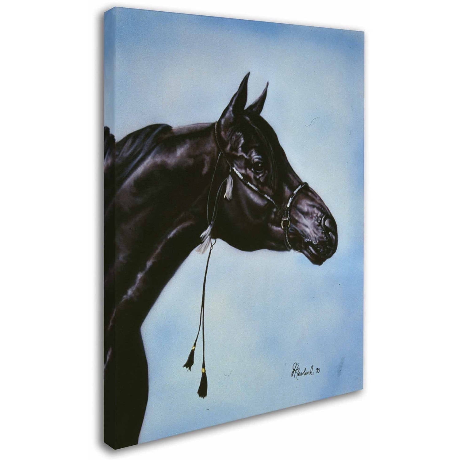 Trademark Fine Art 'Black Arabian' Canvas Art by Jenny Newland