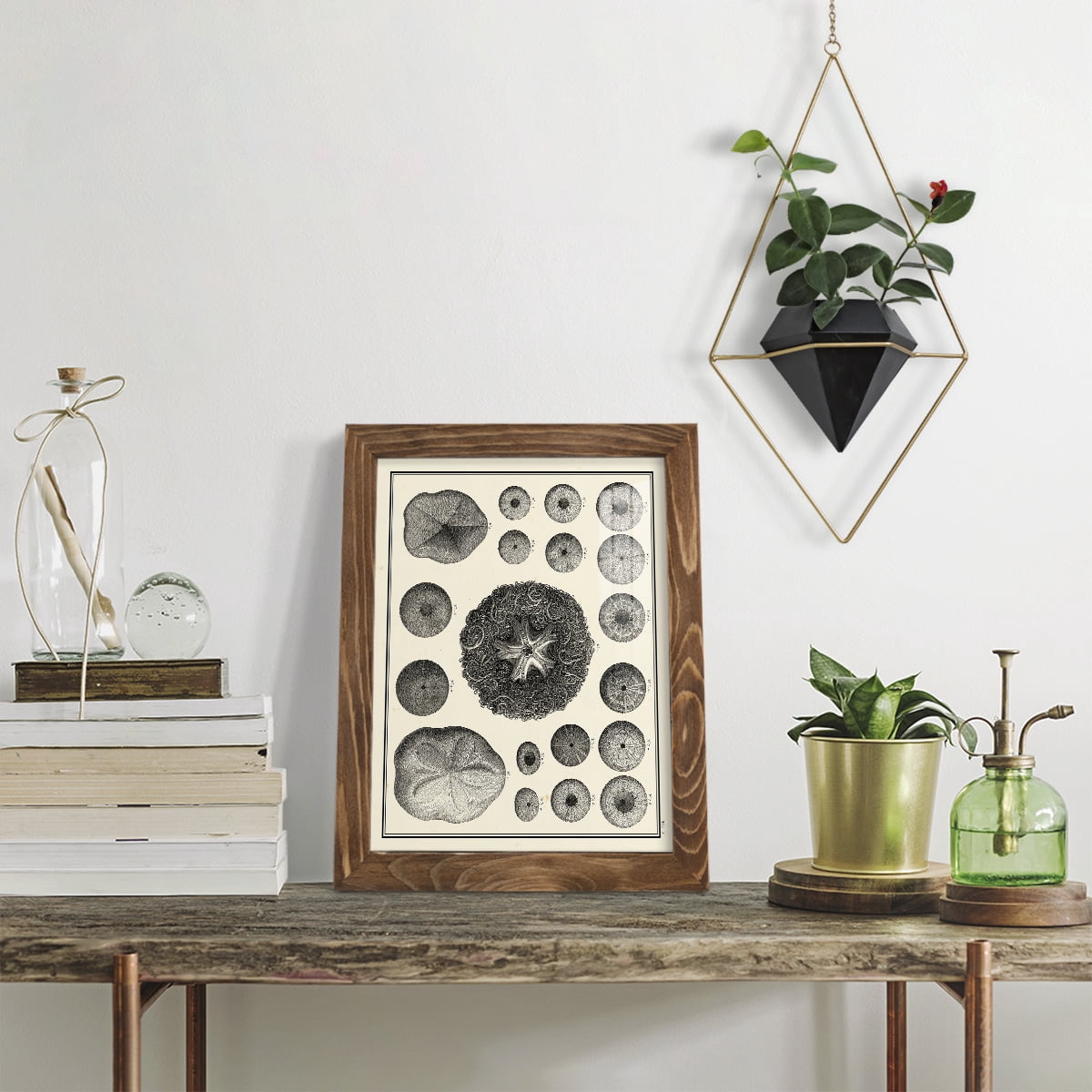 Aegean Collection I -Framed Print w/glass-Walnut