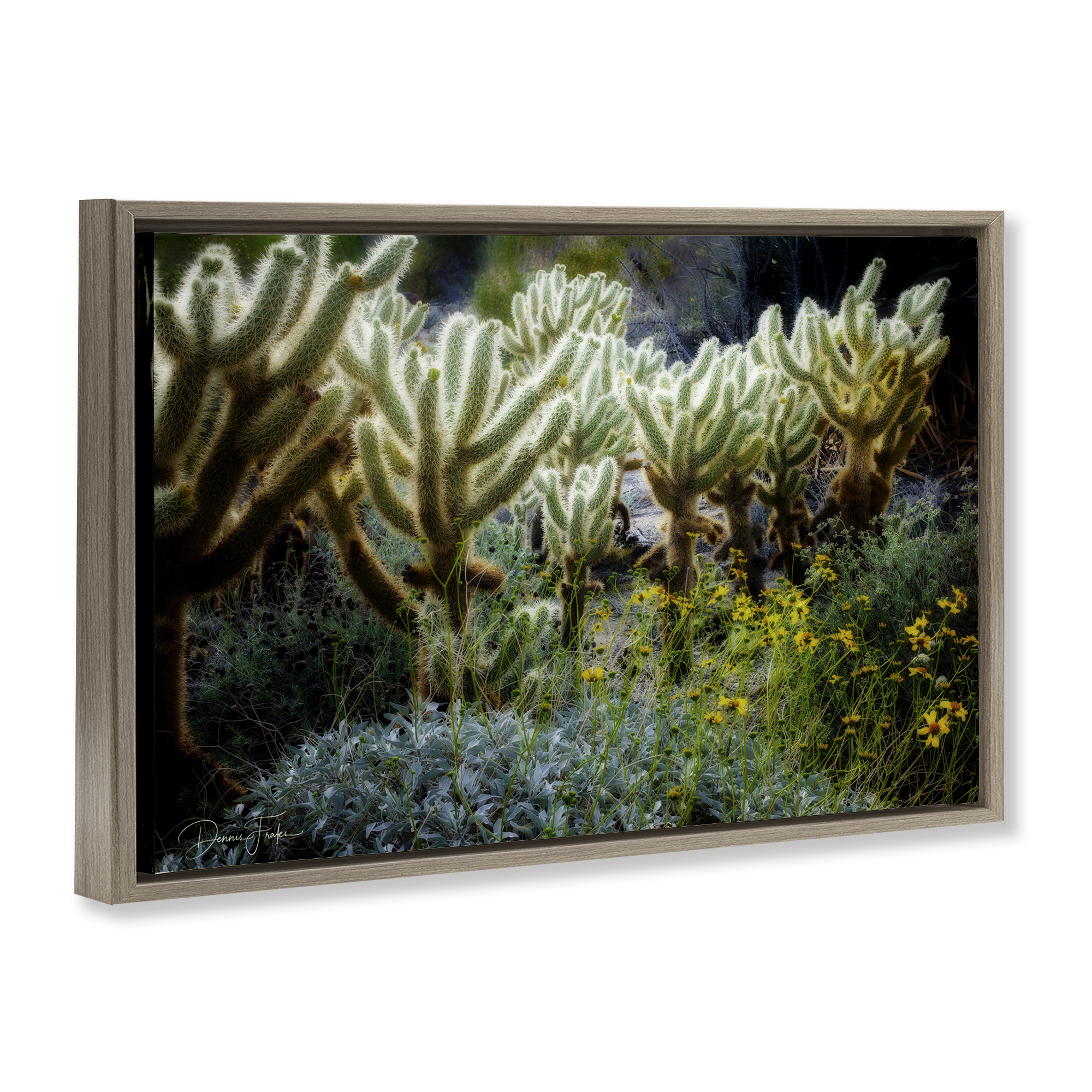 Stupell Industries Desert Cactus Forest Landscape Photography Brown Floater Framed Canvas Art Print Wall Art, 31 x 21