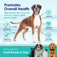 Omega 3 Fish Oil AIF4 for Small Dogs & Cats Pet Fish Oil Supplement