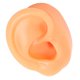 thumbnail image 2 of Modelo de oreja de silicona, oreja derecha Flexible suave, modelo de oreja humana reutilizable para perforación de oreja, exhibición de pendientes de entrenamiento, 2 of 8
