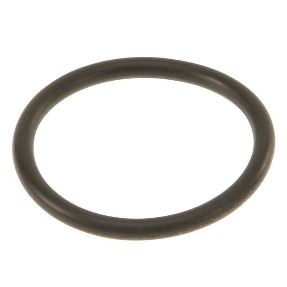Water Line O-Ring - Compatible with 2007 - 2018 BMW X5 2008 2009 2010 2011 2012 2013 2014 2015 2016 2017