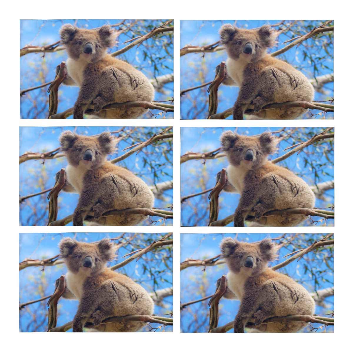 MKHERT Australian Koala Cute Animal Placemats Table Mats for Dining